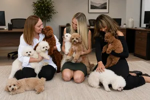 Coworkers sitting on the office floor with teacup poodles