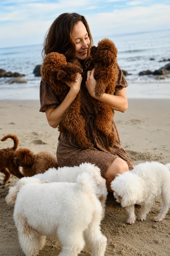 Guests interacting with teacup poodles at a special event
