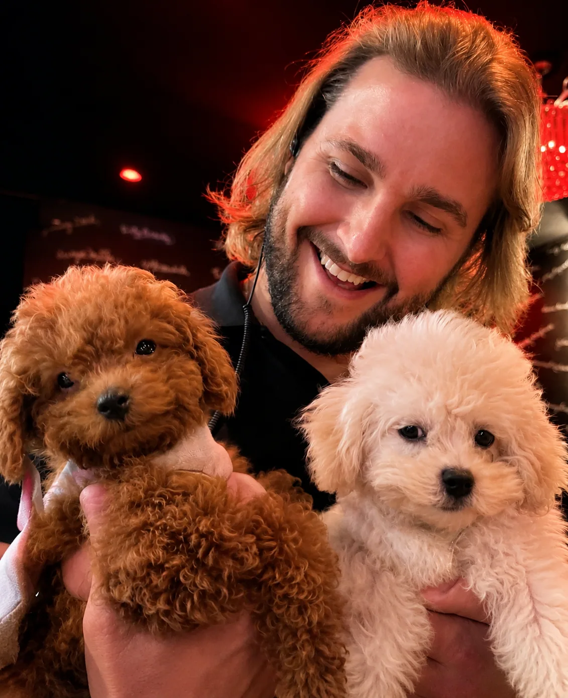Guest at a night event holding two poodles