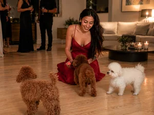 Guest in a red dress with poodles at an evening event