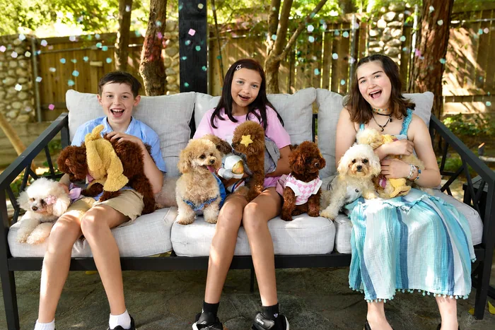 Children enjoying teacup poodles at a birthday celebration
