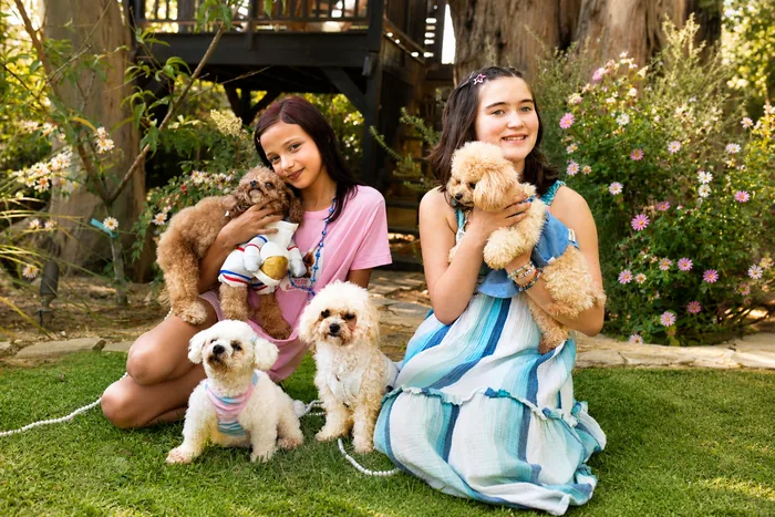 Children enjoying teacup poodles at a birthday celebration