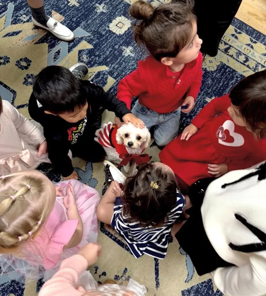 Children in a classroom circle meeting a poodle