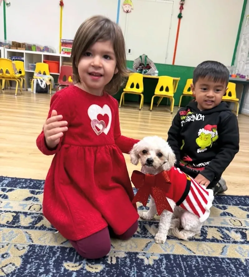 Preschooler in a red dress with a poodle